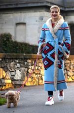 MICHELLE HUNZIKER Out with Her Dogs in Milan 11/21/2018