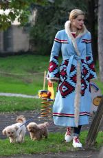 MICHELLE HUNZIKER Out with Her Dogs in Milan 11/21/2018