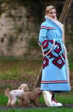 MICHELLE HUNZIKER Out with Her Dogs in Milan 11/21/2018