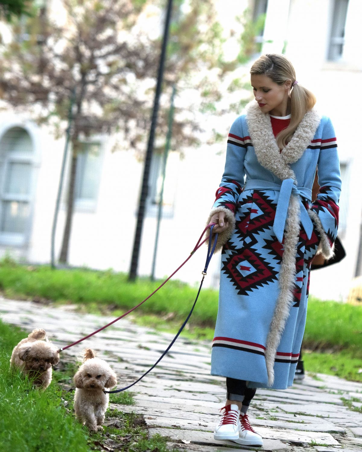 MICHELLE HUNZIKER Out with Her Dogs in Milan 11/21/2018 – HawtCelebs