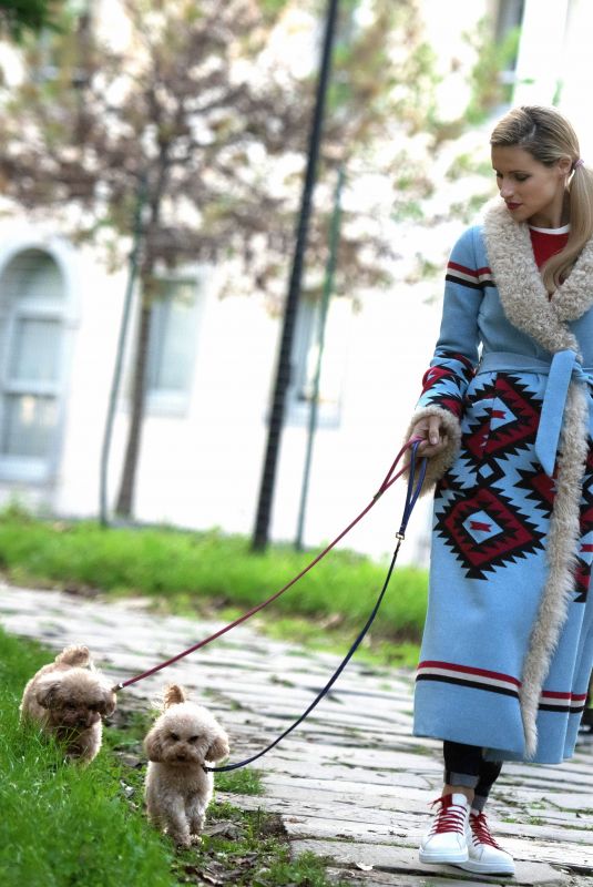 MICHELLE HUNZIKER Out with Her Dogs in Milan 11/21/2018
