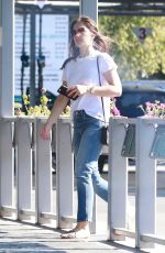 MINKA KELLY Out and About in Studio City 11/12/2018