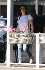 MINKA KELLY Out and About in Studio City 11/12/2018