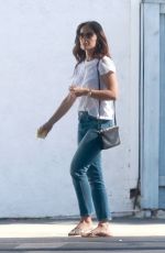 MINKA KELLY Out and About in Studio City 11/12/2018