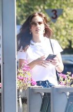 MINKA KELLY Out and About in Studio City 11/12/2018