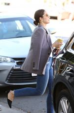 MINKA KELLY Out for Smoothie in Los Angeles 11/14/2018