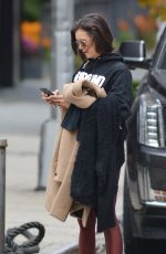 NINA DOBREV Working Out in New York 11/03/2018