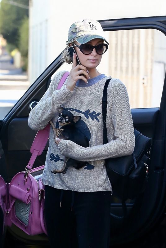 PARIS HILTON Out with Her Dog in Beverly Hills 11/02/2018