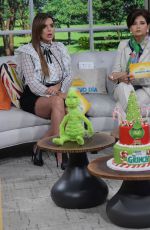 RASHEL DIAZ at Grinch Takeover at Un Nuevo Dia in Miami 11/07/2018