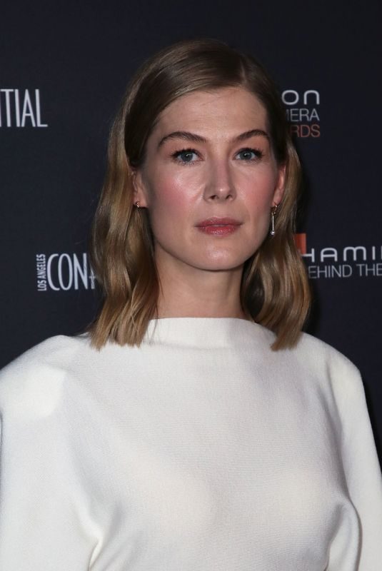 ROSAMUND PIKE at Hamilton Behind the Camera Awards in Los Angeles 11/04/2018