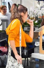 SARAH HYLAND Shopping at Farmers Market in Studio City 11/04/2018