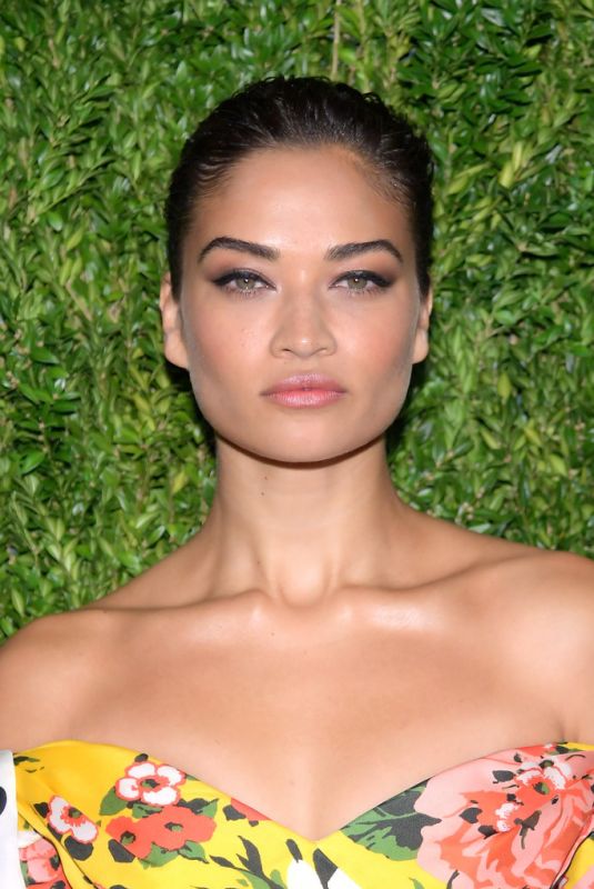SHANINA SHAIK at Cfda/Vouge Fashion Fund 15th Anniversary in New York 11/05/2018