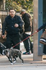 SIENNA MILLER Out with Her Dog in New York 11/19/2018