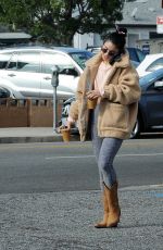 VANESSA HUDGENS Out and About in Los Angeles 11/25/2018