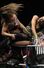 WWE Evolution 2018