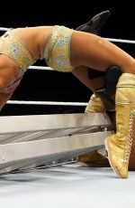 WWE Evolution 2018