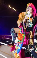 WWE - Live in Glasgow 11/11/2018
