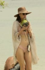 ALESSANDRA AMBROSIO in Bikini at a Beach in Florianopolis 12/23/2018