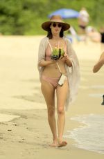 ALESSANDRA AMBROSIO in Bikini at a Beach in Florianopolis 12/23/2018