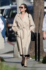 ANGELINA JOLIE Out Shopping in Santa Monica 12/22/2018