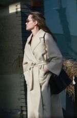 ANGELINA JOLIE Out Shopping in Santa Monica 12/22/2018