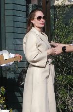 ANGELINA JOLIE Out Shopping in Santa Monica 12/22/2018