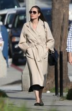 ANGELINA JOLIE Out Shopping in Santa Monica 12/22/2018