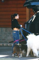 ARIEL WINTER and Levi Meaden Out with Their Dogs in Los Angeles 12/30/2018