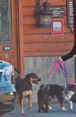ARIEL WINTER and Levi Meaden Out with Their Dogs in Los Angeles 12/30/2018