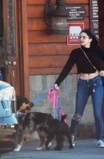 ARIEL WINTER and Levi Meaden Out with Their Dogs in Los Angeles 12/30/2018