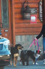 ARIEL WINTER and Levi Meaden Out with Their Dogs in Los Angeles 12/30/2018