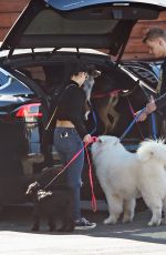ARIEL WINTER and Levi Meaden Out with Their Dogs in Los Angeles 12/30/2018