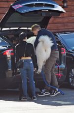 ARIEL WINTER and Levi Meaden Out with Their Dogs in Los Angeles 12/30/2018