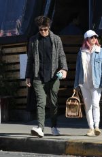 ASHLEY TISDALE Out and About in Los Angeles 12/30/2018