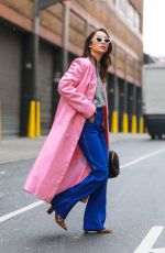CARA SANTANA Out and About in New York 12/13/2018