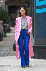 CARA SANTANA Out and About in New York 12/13/2018