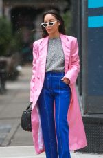 CARA SANTANA Out and About in New York 12/13/2018