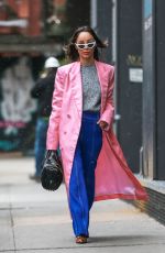 CARA SANTANA Out and About in New York 12/13/2018