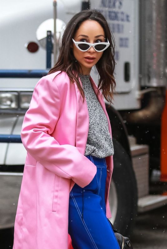 CARA SANTANA Out and About in New York 12/13/2018