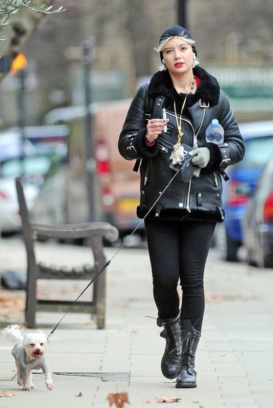 DAISY LOWE Out with Her Dog in London 12/11/2018