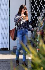 DAKOTA JOHNSON Out in West Hollywood 12/20/2018