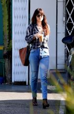 DAKOTA JOHNSON Out in West Hollywood 12/20/2018