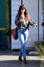 DAKOTA JOHNSON Out in West Hollywood 12/20/2018