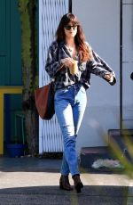 DAKOTA JOHNSON Out in West Hollywood 12/20/2018