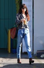 DAKOTA JOHNSON Out in West Hollywood 12/20/2018