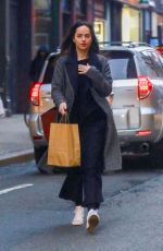 DAKOTA JONSON Out Shopping in New York 12/17/2018