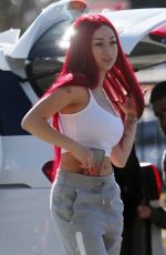 DANIELLE BREGOLI at Airport in Perth 12/08/2018