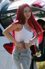DANIELLE BREGOLI at Airport in Perth 12/08/2018
