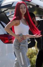 DANIELLE BREGOLI at Airport in Perth 12/08/2018