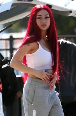 DANIELLE BREGOLI at Airport in Perth 12/08/2018